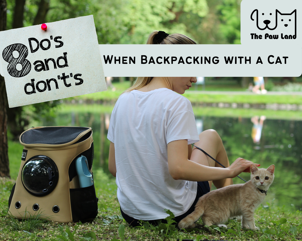 8 Do's and Don'ts When Backpacking with a Cat