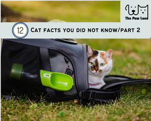 Fakty o kotach, których nie znałeś.!! Część 2